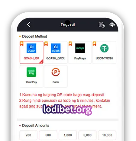 Deposit Money into Lodibet