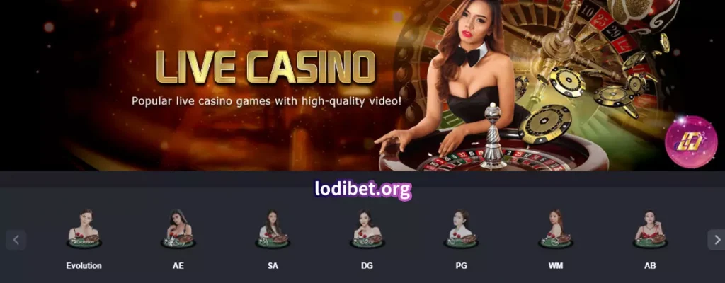 Baccarat Providers on Lodibet