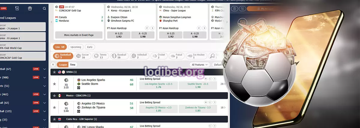 Sports Bets at Lodibet